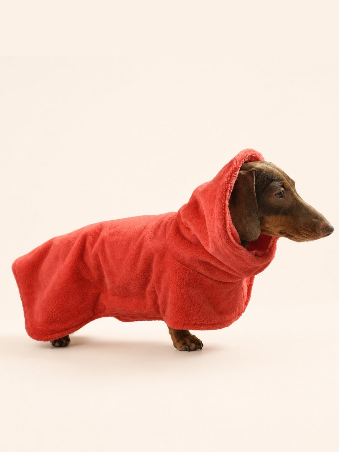 Albornoz para perros