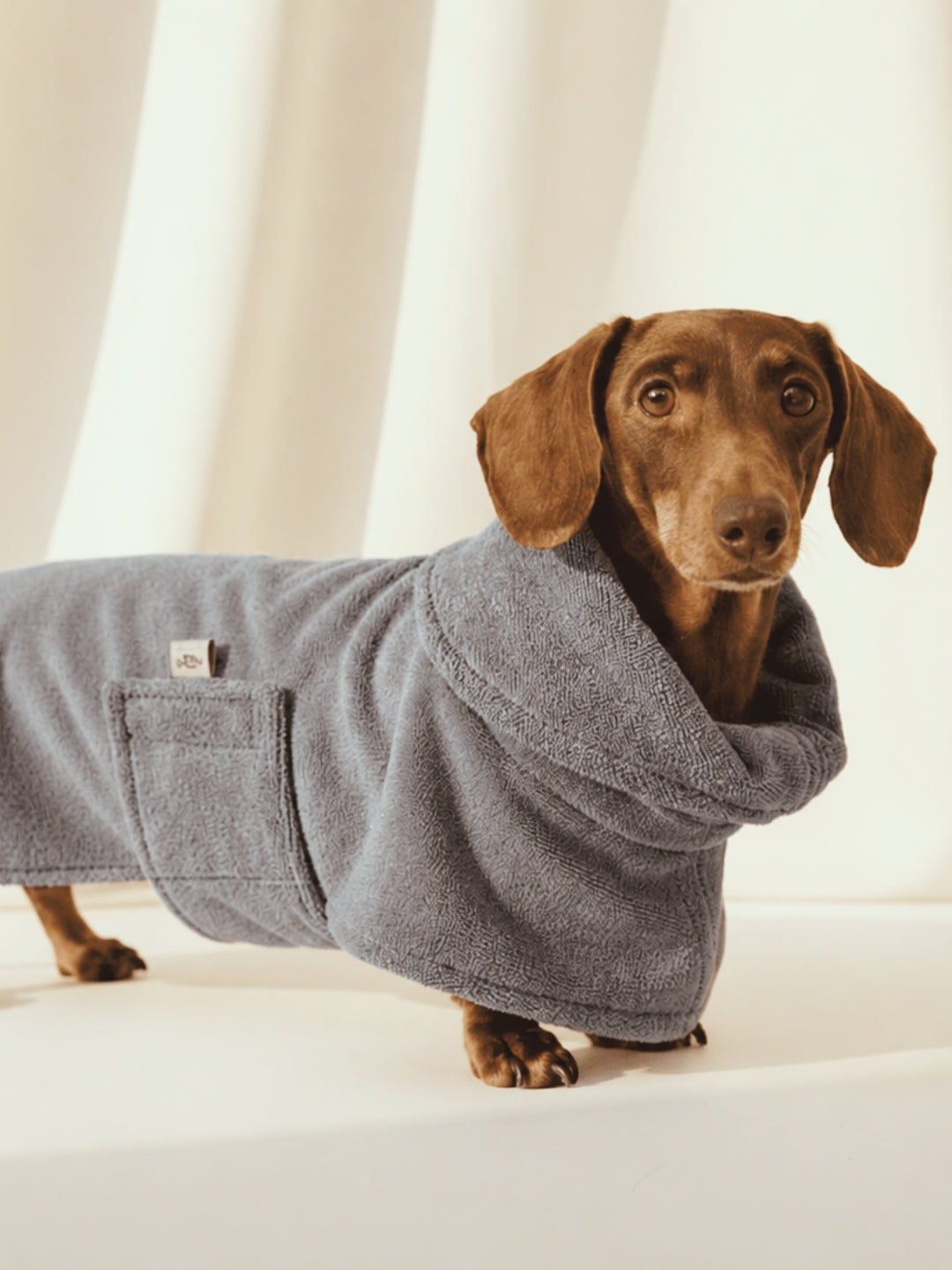 Albornoz para perros