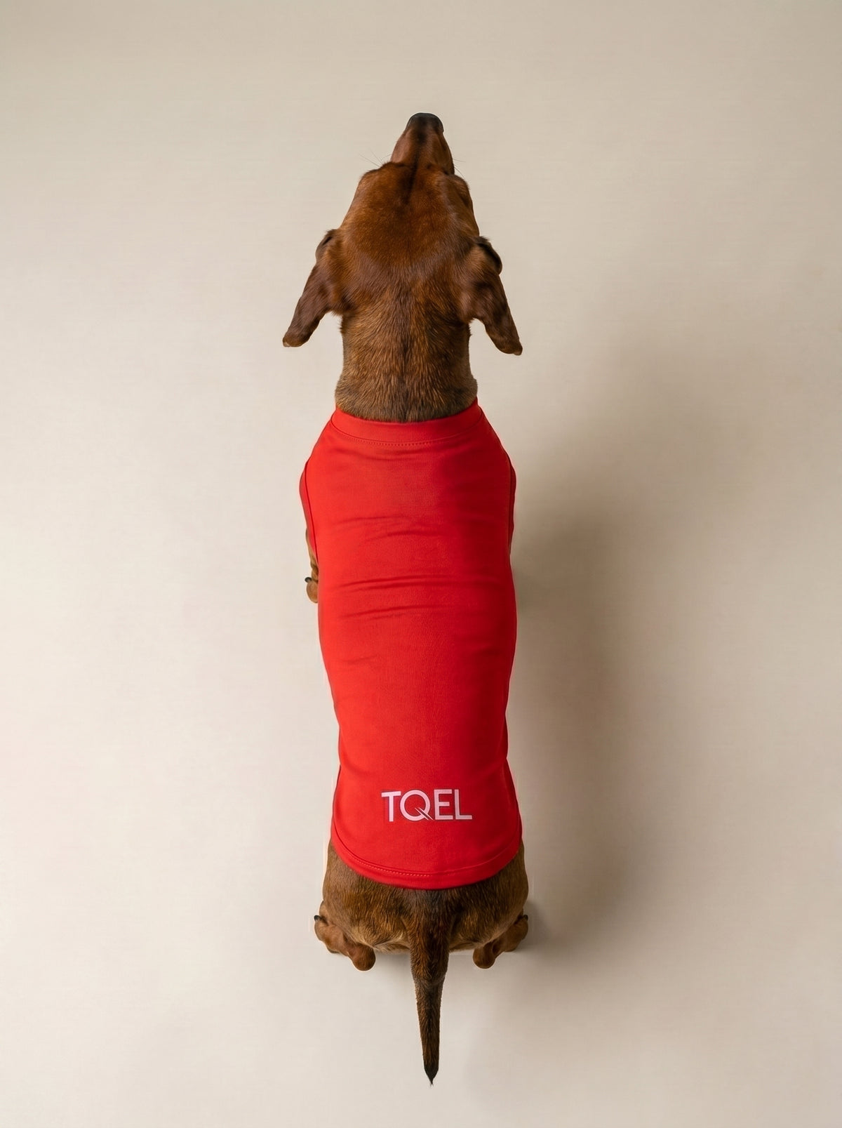 T-Shirt Solar Red