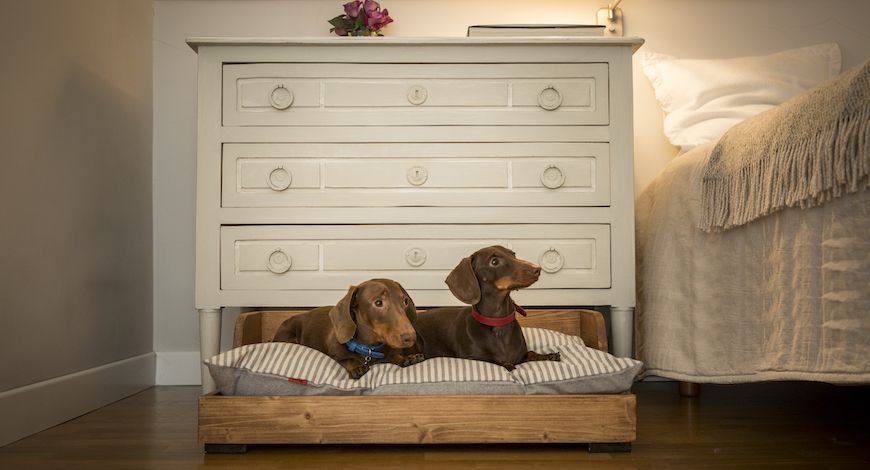 Camas para perros pequeños