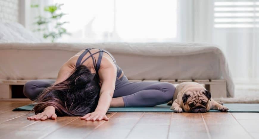 Los 5 beneficios del Doga para tu perro