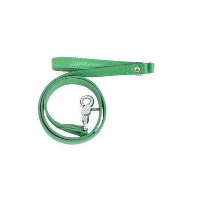Mint Leather Strap
