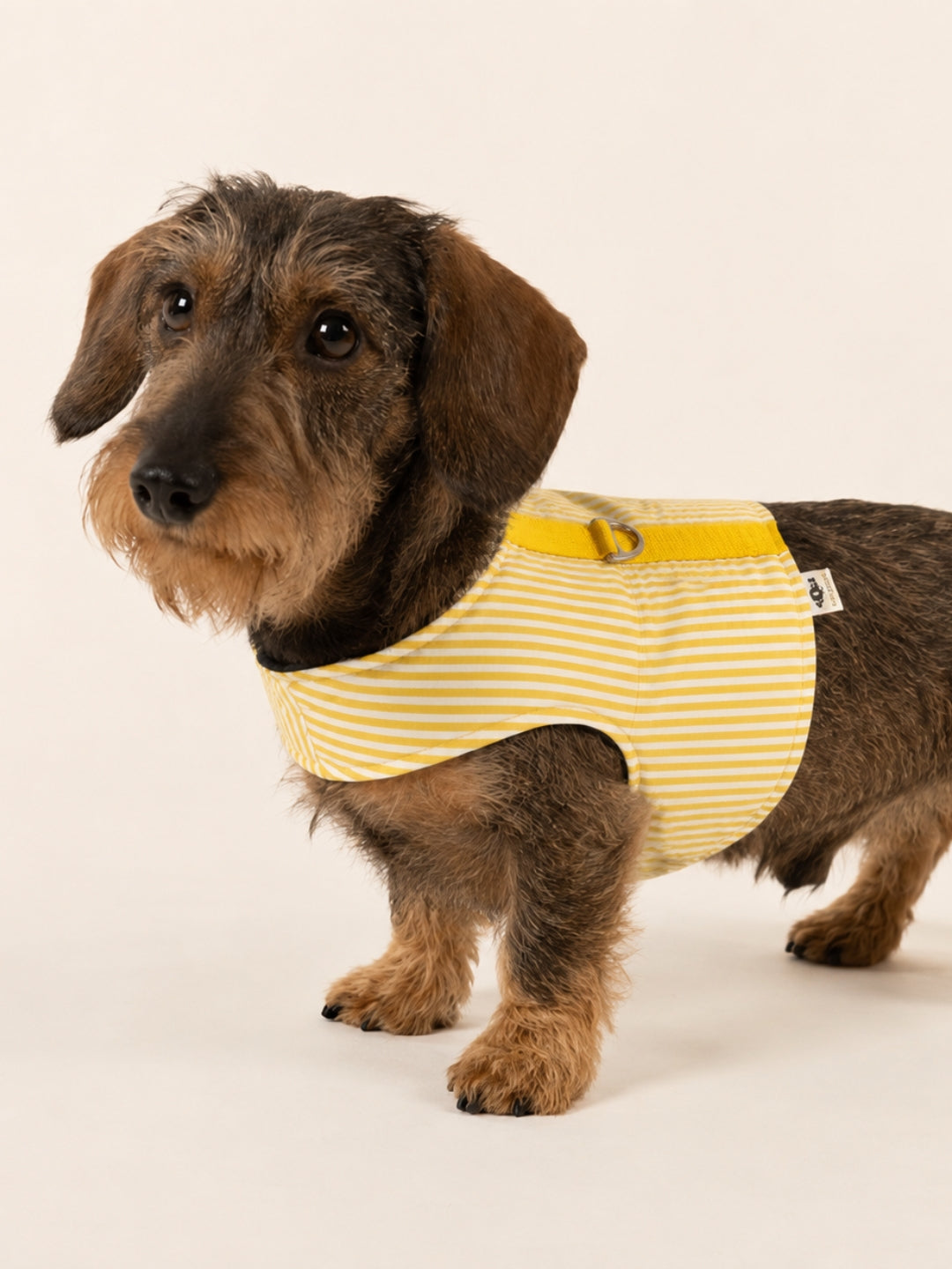 Arnês de verão Stripes Yellow