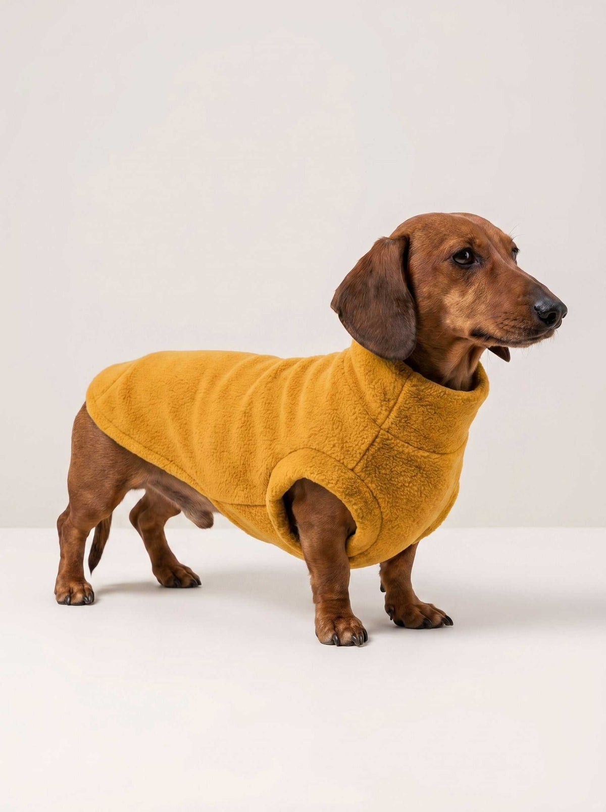 Abrigo polar Alaska Mustard