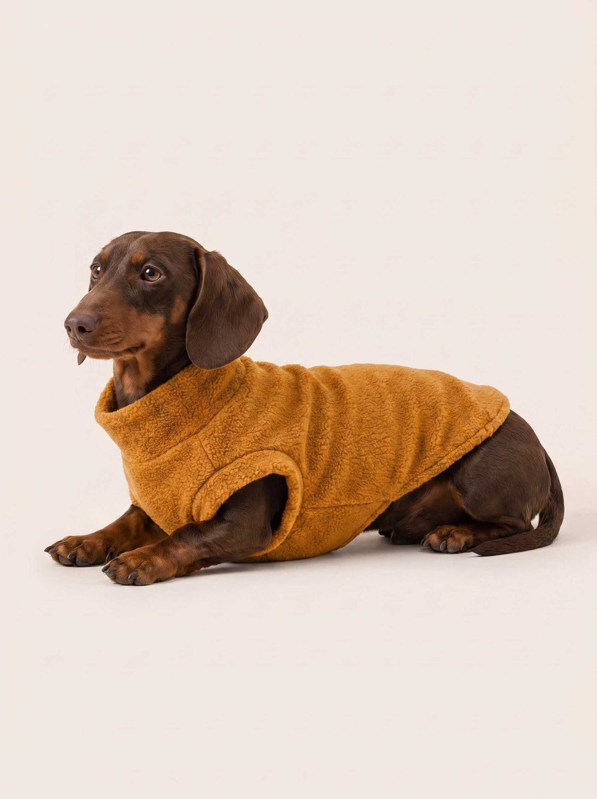 Abrigo polar Alaska Mustard