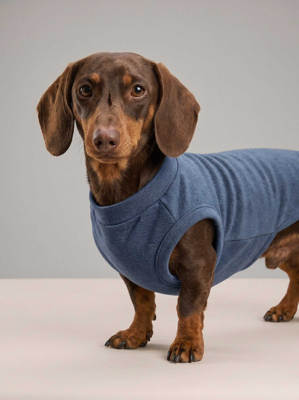 Chaqueta de punto Hudson Denim