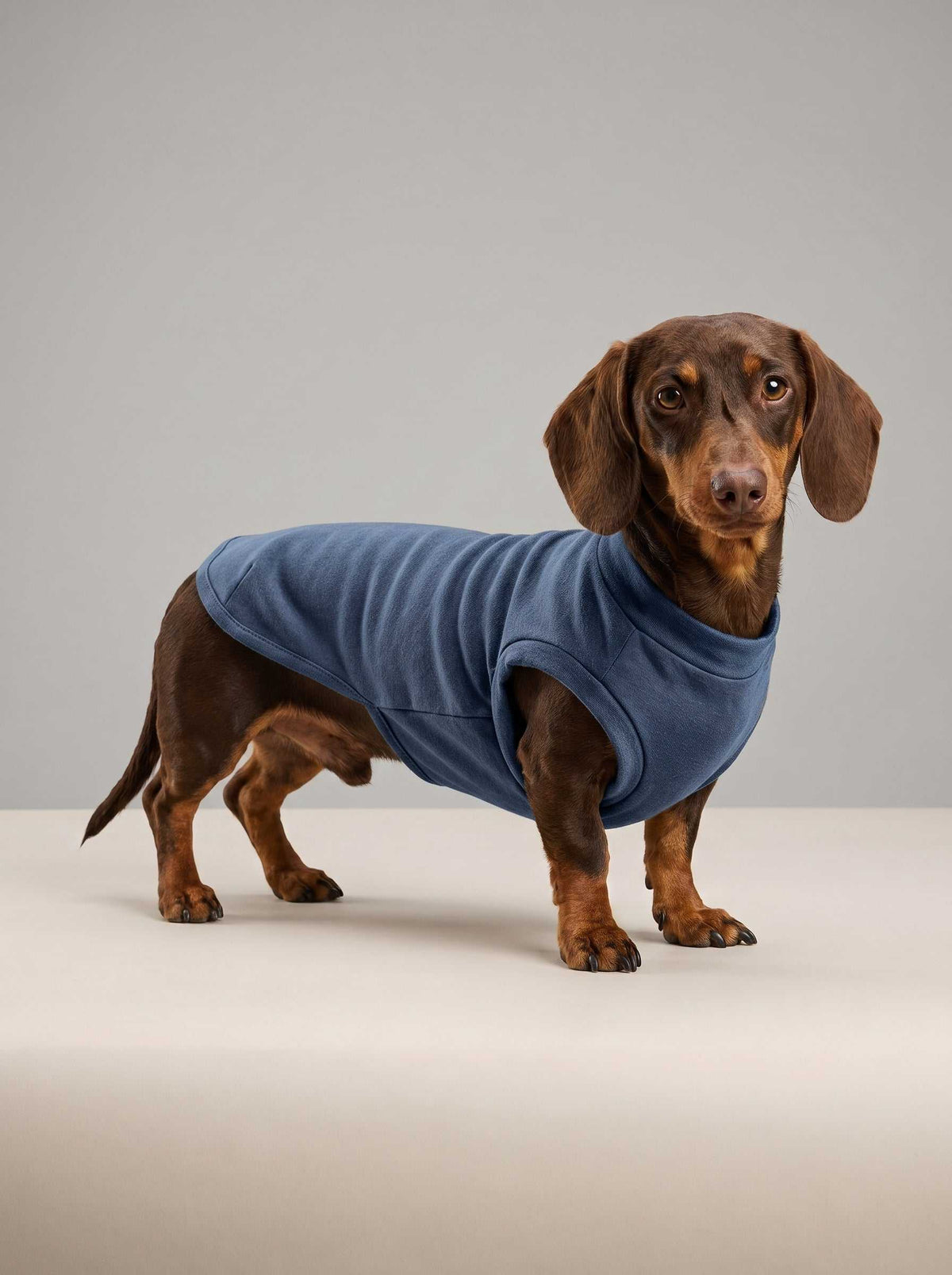 Chaqueta de punto Hudson Denim