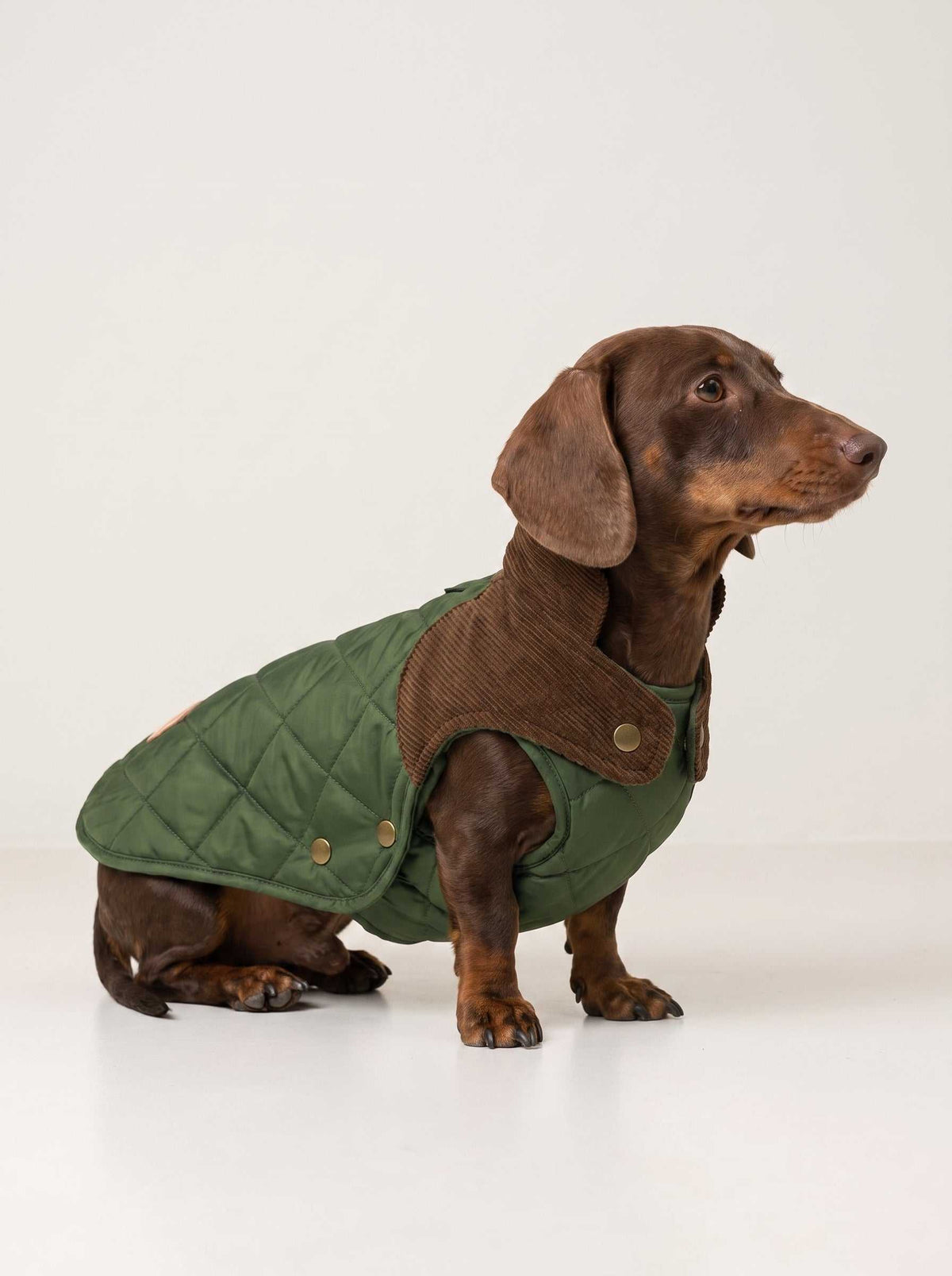 Abrigo impermeable Willy Olive