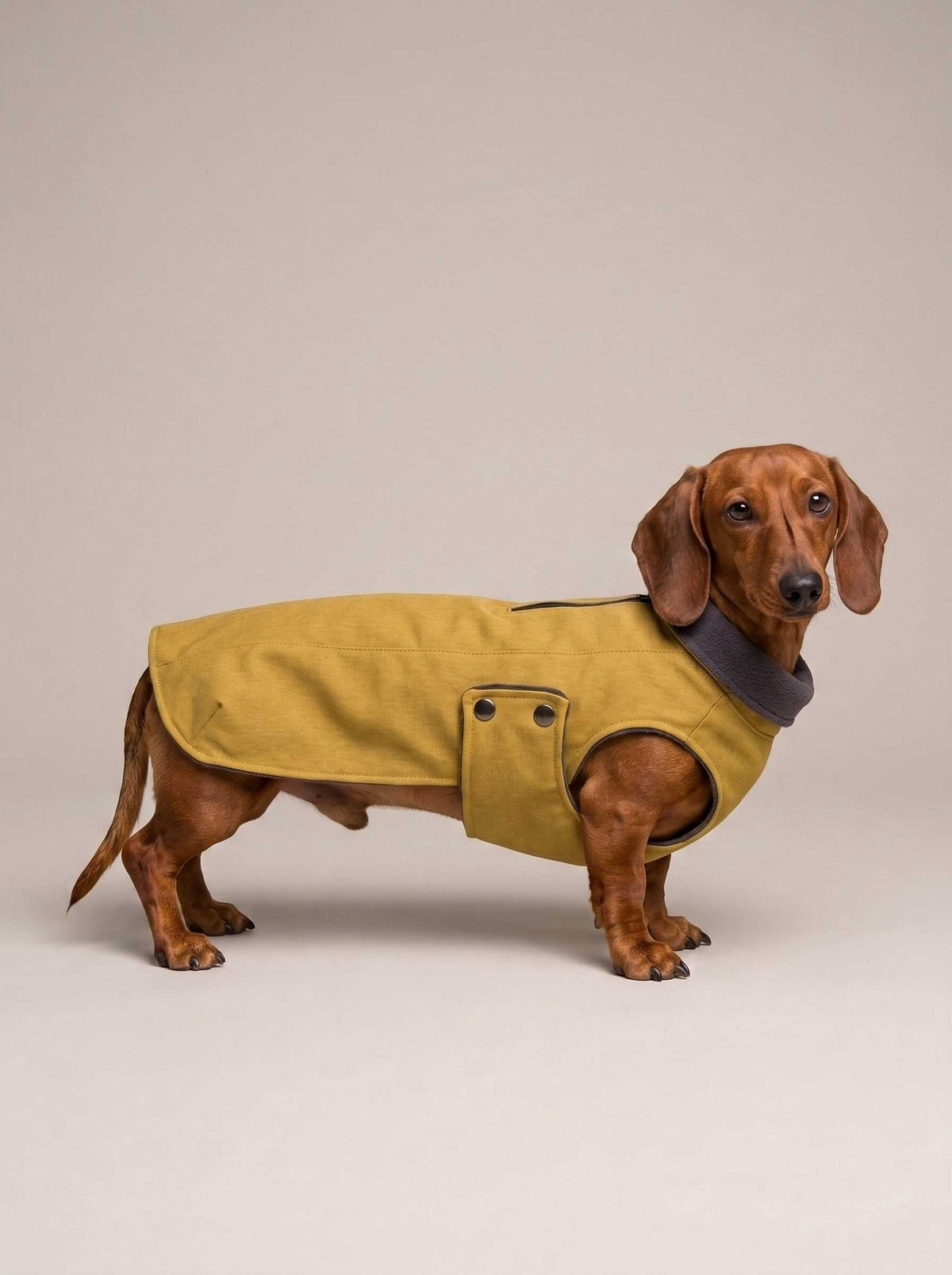 Abrigo impermeable Zermatt Mustard