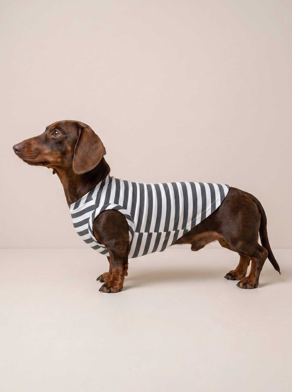 Camiseta Fresh Grey