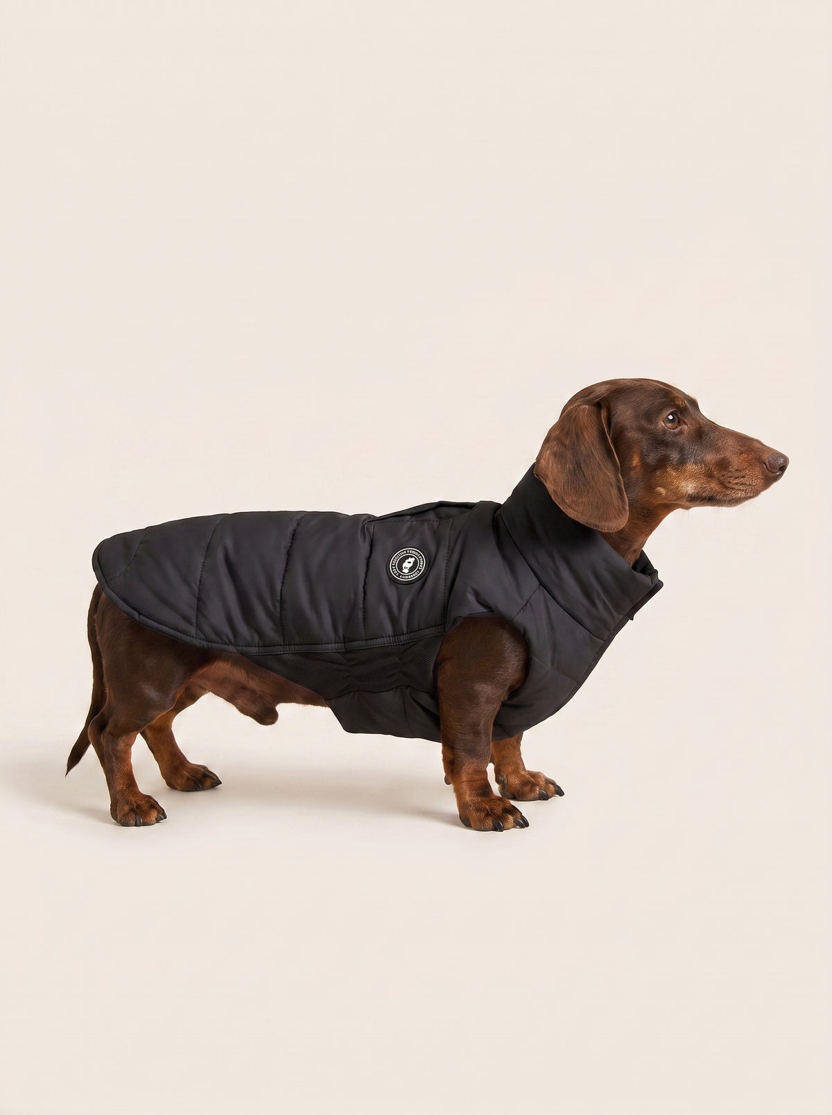 Canetas Artic Black