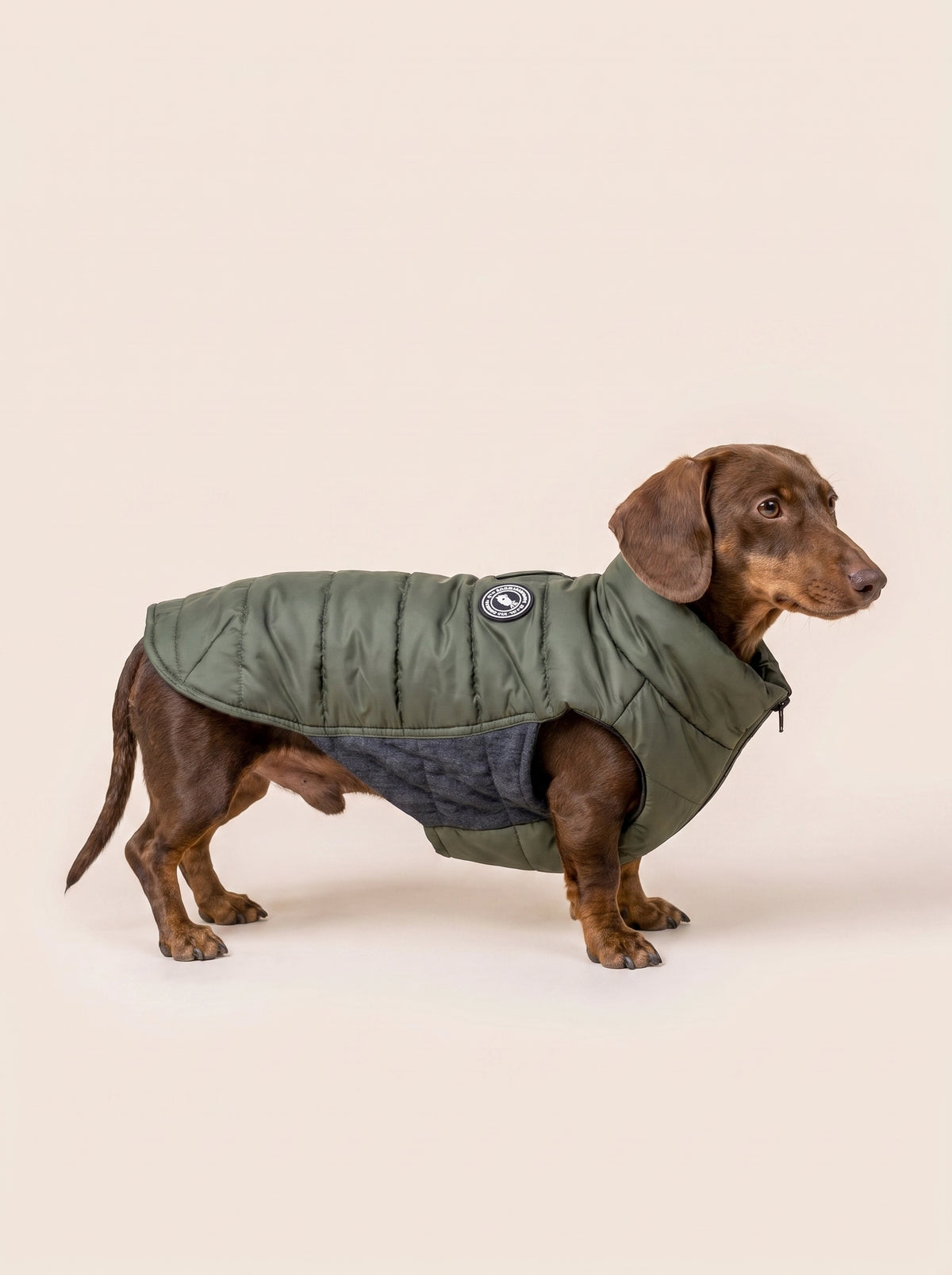 Canetas Artic Olive
