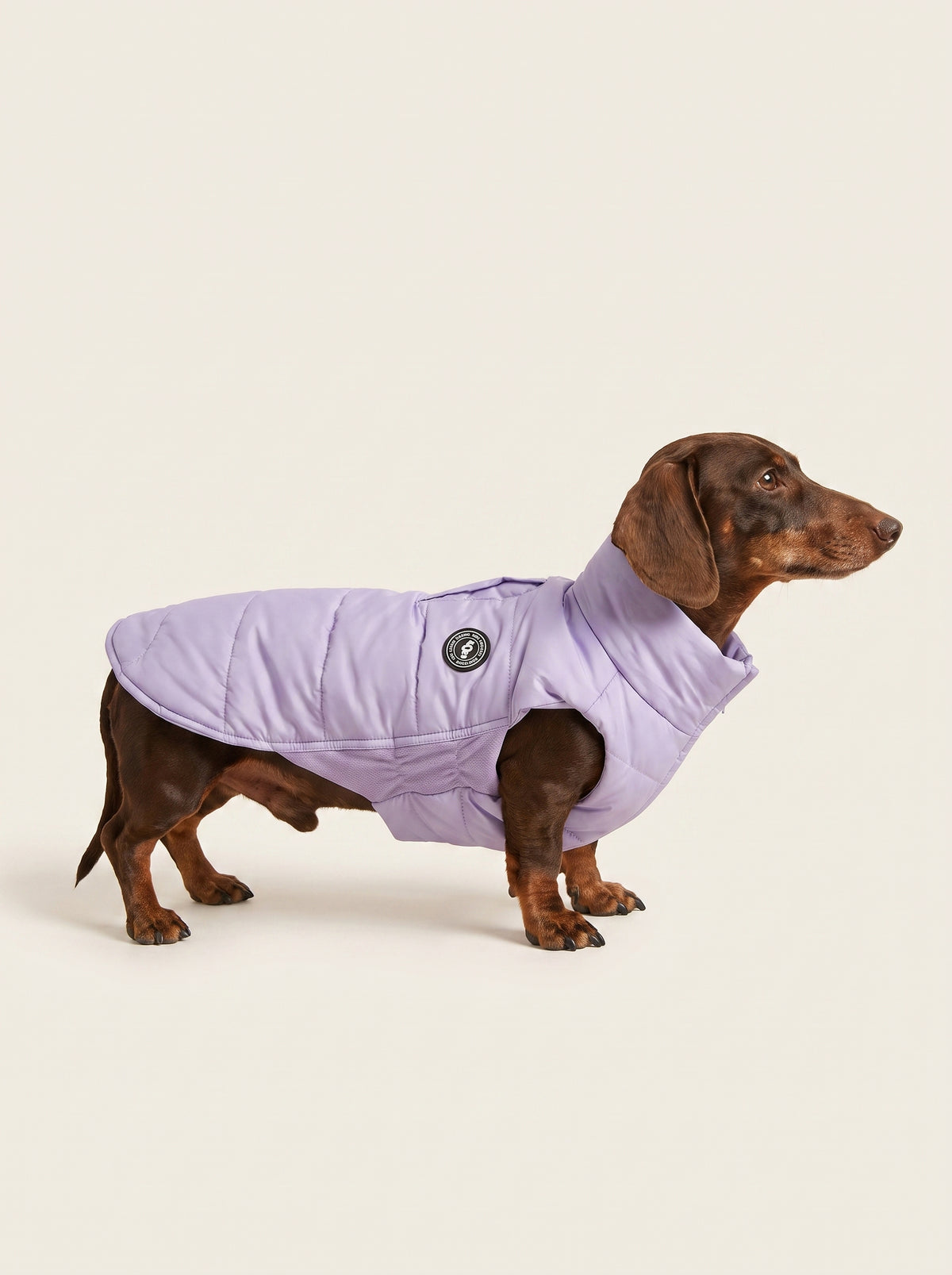 Penas Artic Lilac
