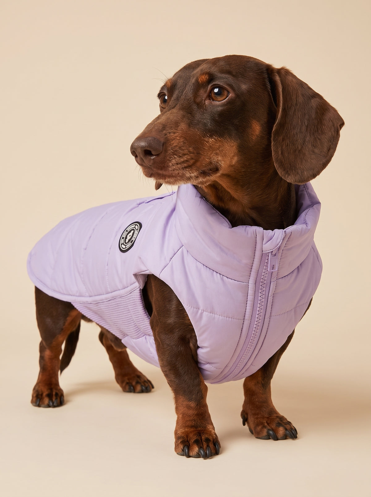 Penas Artic Lilac