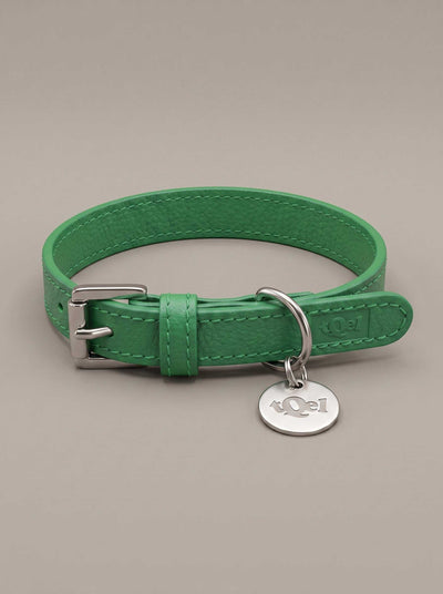 Mint leather collar