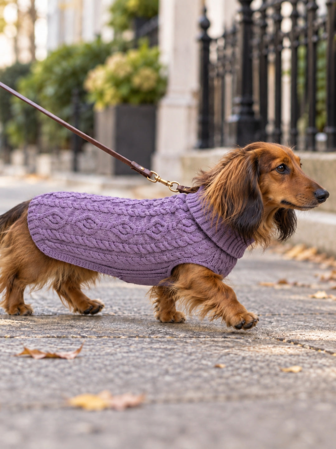 Jersey para perros de lana