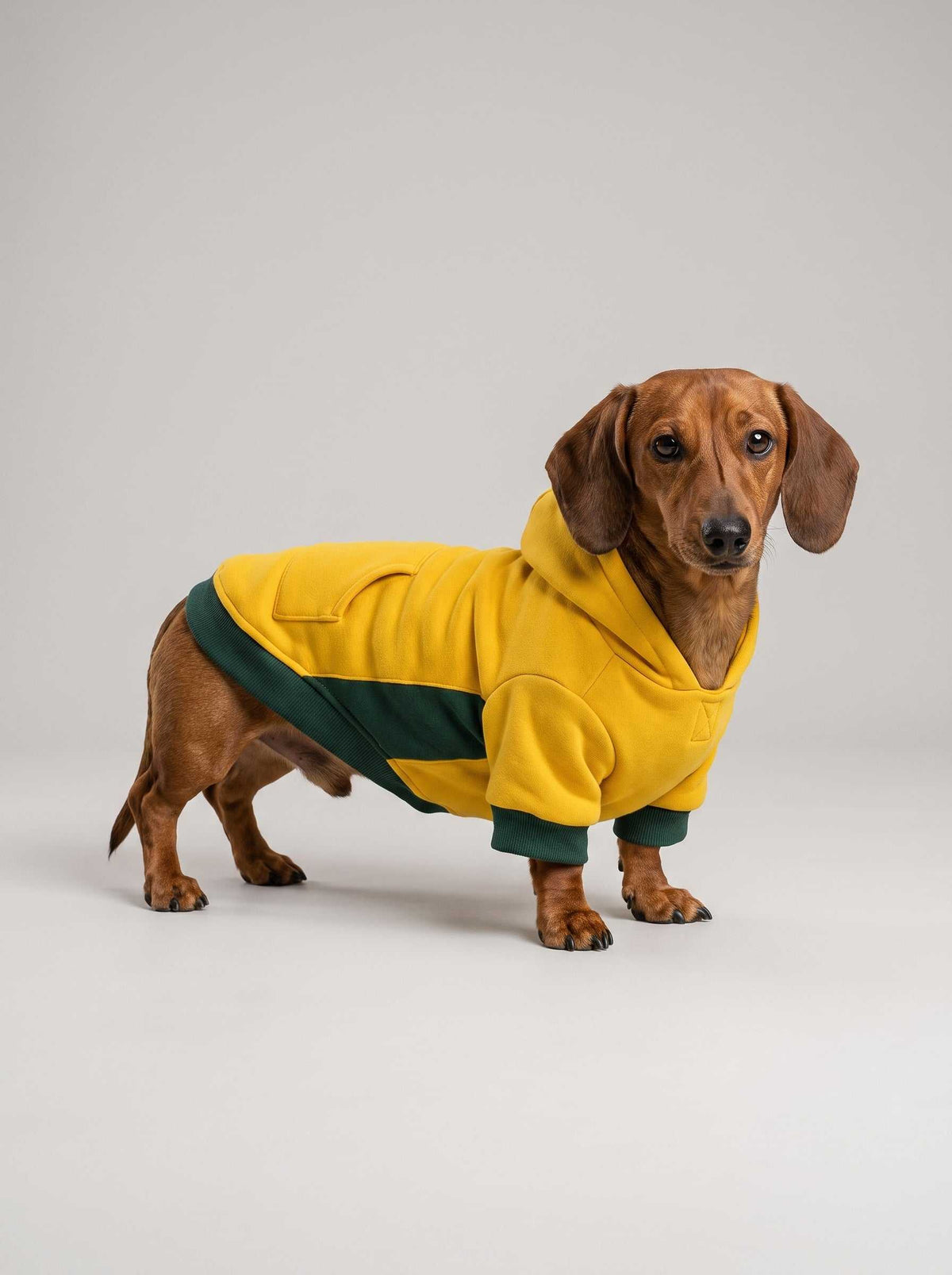 Sudadera Miami Mustard