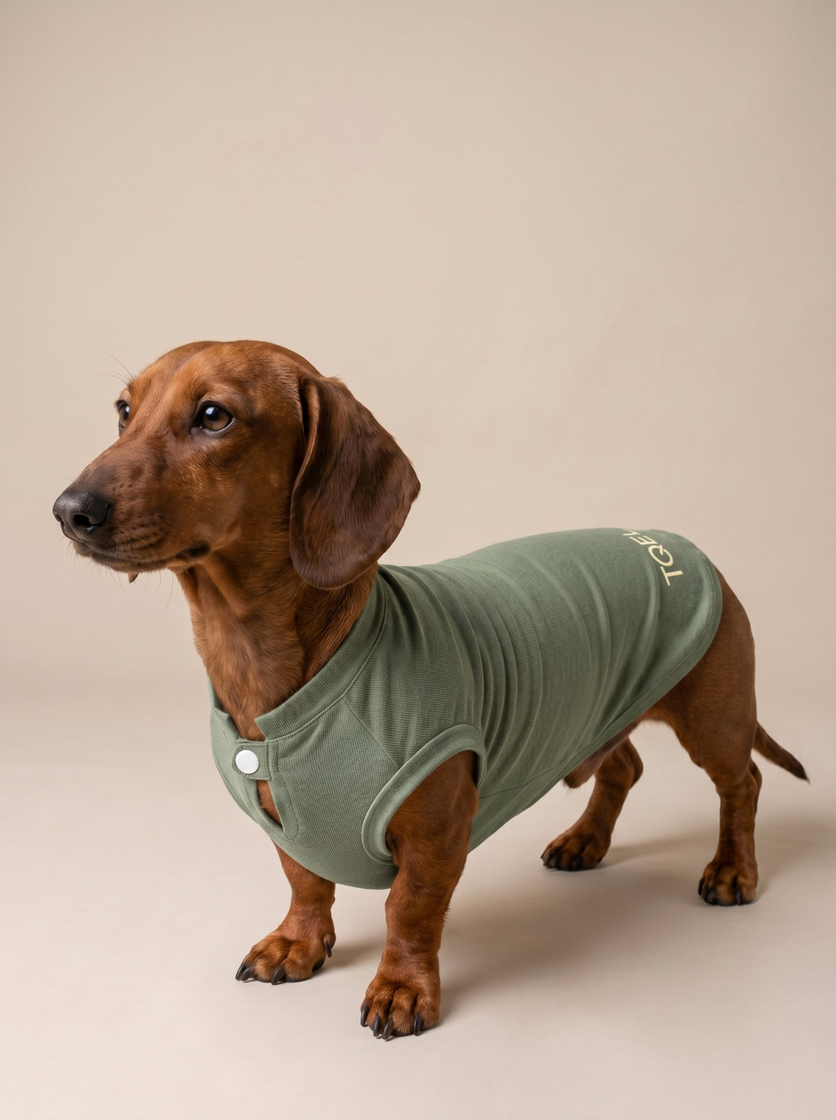 Organic Green T-Shirt